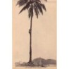 Rare collectable postcards of PAPUA NEW GUINEA. Vintage Postcards of PAPUA NEW GUINEA