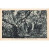 Rare collectable postcards of VANUATU. Vintage Postcards of VANUATU