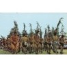 Rare collectable postcards of VANUATU. Vintage Postcards of VANUATU