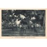 Rare collectable postcards of Vanuatu (New Hebrides). Vintage Postcards of Vanuatu (New Hebrides)