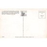 Rare collectable postcards of HAWAII. Vintage Postcards of HAWAII