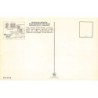 Rare collectable postcards of HAWAII. Vintage Postcards of HAWAII