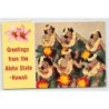 Rare collectable postcards of Hawaii. Vintage Postcards of Hawaii