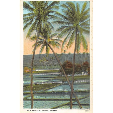 Rare collectable postcards of Hawaii. Vintage Postcards of Hawaii