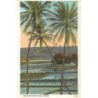 Rare collectable postcards of Hawaii. Vintage Postcards of Hawaii