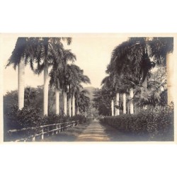 Rare collectable postcards of HAWAII. Vintage Postcards of HAWAII