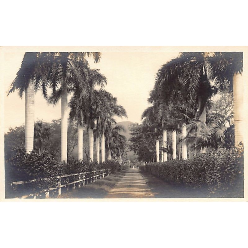 Rare collectable postcards of HAWAII. Vintage Postcards of HAWAII