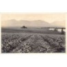 Rare collectable postcards of HAWAII. Vintage Postcards of HAWAII