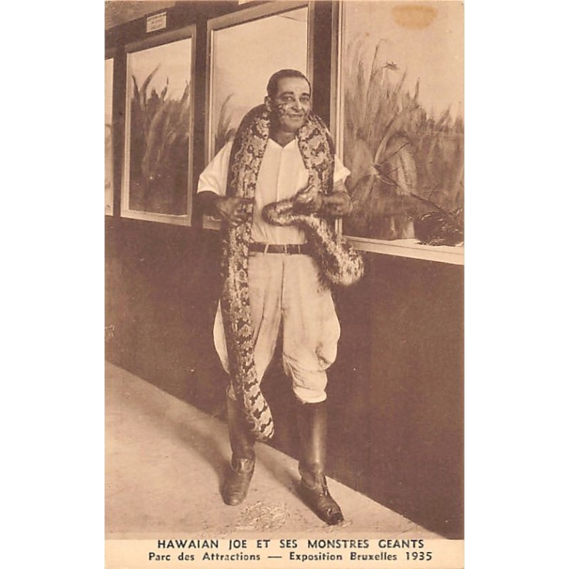 Rare collectable postcards of HAWAII. Vintage Postcards of HAWAII