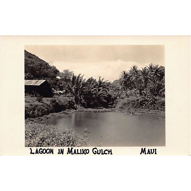 Rare collectable postcards of Hawaii. Vintage Postcards of Hawaii