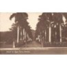 Rare collectable postcards of Hawaii. Vintage Postcards of Hawaii