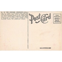 Rare collectable postcards of HAWAII. Vintage Postcards of HAWAII