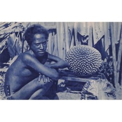 Rare collectable postcards of SAMOA. Vintage Postcards of SAMOA