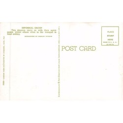 Rare collectable postcards of SAMOA. Vintage Postcards of SAMOA