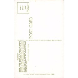 Rare collectable postcards of SAMOA. Vintage Postcards of SAMOA