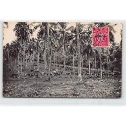 Rare collectable postcards of SAMOA. Vintage Postcards of SAMOA