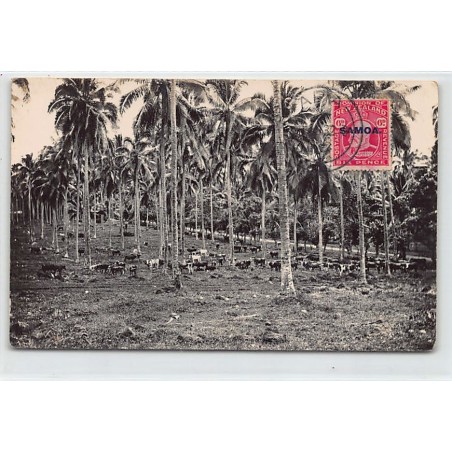 Rare collectable postcards of SAMOA. Vintage Postcards of SAMOA