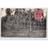 Rare collectable postcards of SAMOA. Vintage Postcards of SAMOA