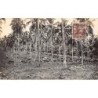 Rare collectable postcards of Samoa. Vintage Postcards of Samoa