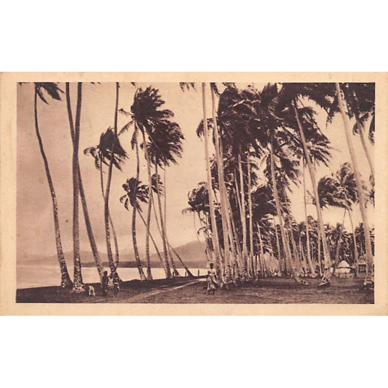 Rare collectable postcards of Samoa. Vintage Postcards of Samoa