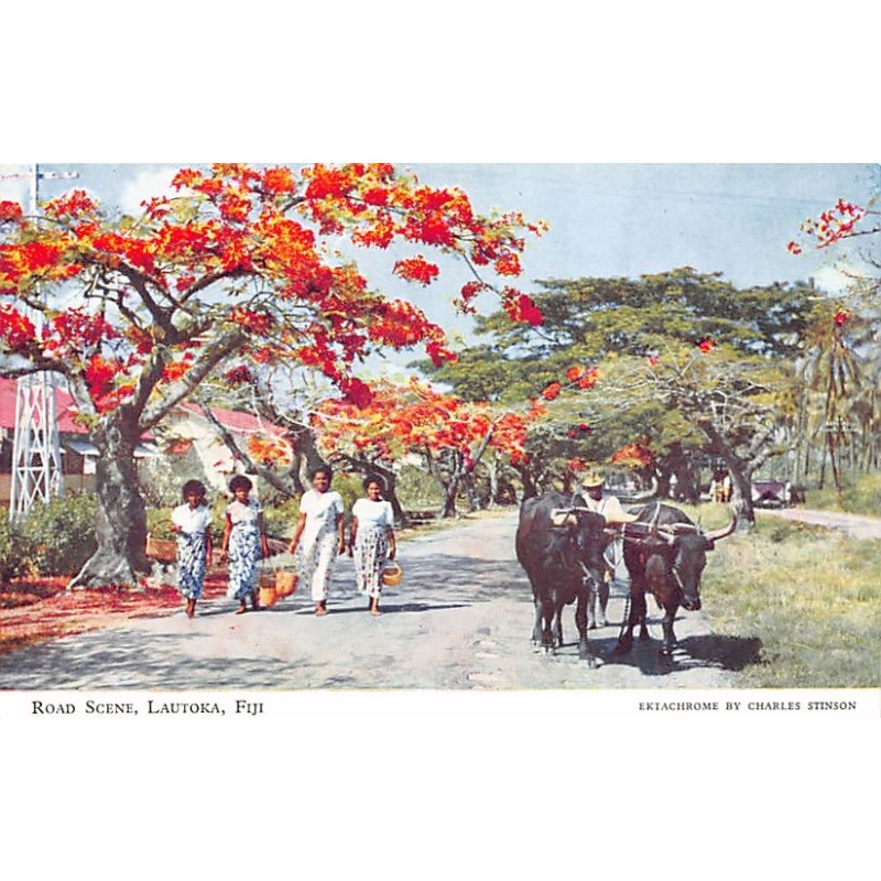 Rare collectable postcards of FIJI. Vintage Postcards of FIJI