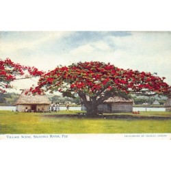Rare collectable postcards of FIJI. Vintage Postcards of FIJI