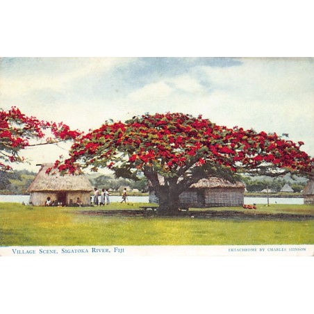 Rare collectable postcards of FIJI. Vintage Postcards of FIJI