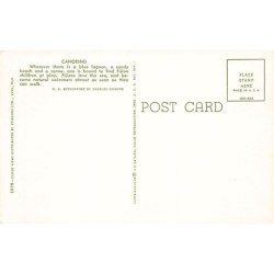 Rare collectable postcards of Fiji. Vintage Postcards of Fiji