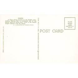 Rare collectable postcards of Fiji. Vintage Postcards of Fiji