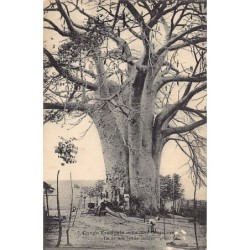 Rare collectable postcards of Congo - Brazzaville. Vintage Postcards of Congo - Brazzaville