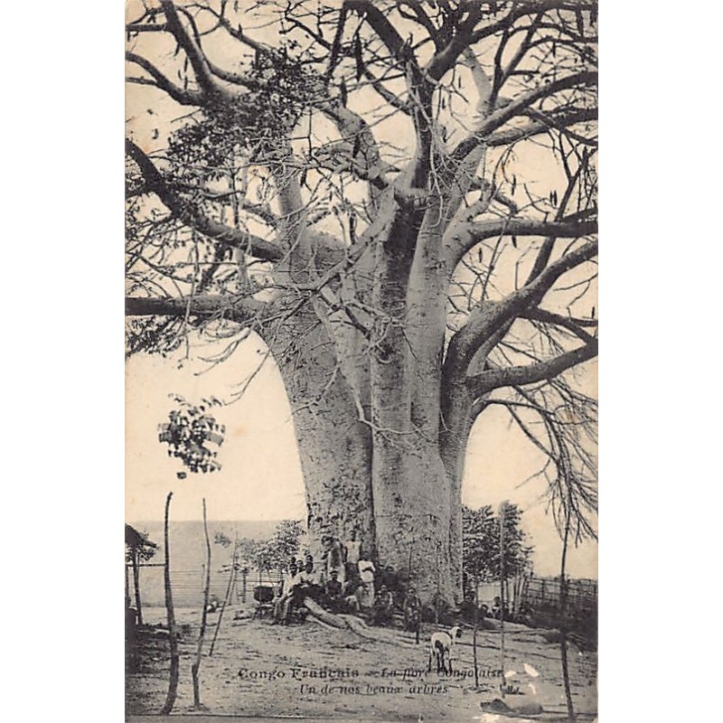 Rare collectable postcards of Congo - Brazzaville. Vintage Postcards of Congo - Brazzaville