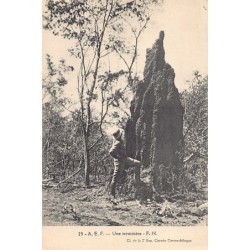 Rare collectable postcards of Congo - Brazzaville. Vintage Postcards of Congo - Brazzaville
