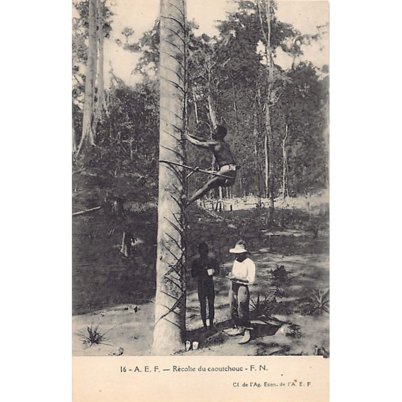 Rare collectable postcards of Congo - Brazzaville. Vintage Postcards of Congo - Brazzaville