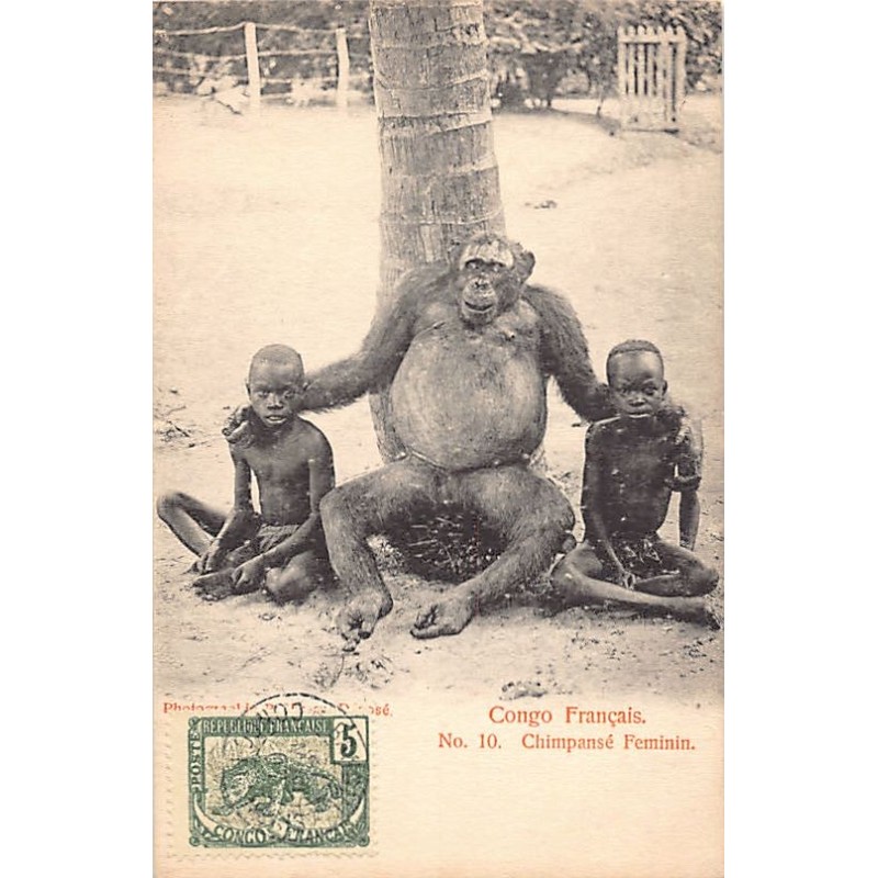Rare collectable postcards of Congo - Brazzaville. Vintage Postcards of Congo - Brazzaville