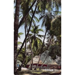 Rare collectable postcards of Congo - Brazzaville. Vintage Postcards of Congo - Brazzaville