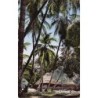 Rare collectable postcards of Congo - Brazzaville. Vintage Postcards of Congo - Brazzaville