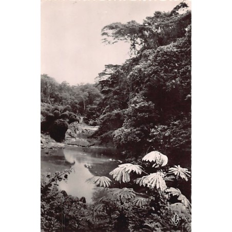 Rare collectable postcards of Congo - Brazzaville. Vintage Postcards of Congo - Brazzaville