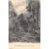 Rare collectable postcards of Congo - Brazzaville. Vintage Postcards of Congo - Brazzaville