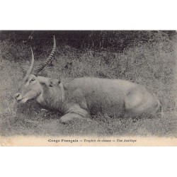 Rare collectable postcards of Congo - Brazzaville. Vintage Postcards of Congo - Brazzaville
