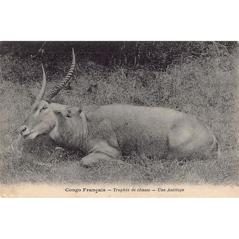 Rare collectable postcards of Congo - Brazzaville. Vintage Postcards of Congo - Brazzaville
