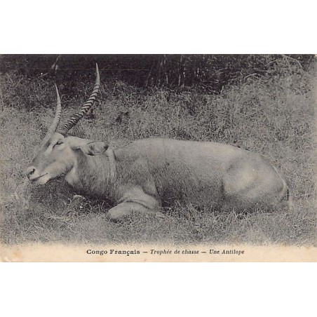 Rare collectable postcards of Congo - Brazzaville. Vintage Postcards of Congo - Brazzaville