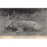 Rare collectable postcards of Congo - Brazzaville. Vintage Postcards of Congo - Brazzaville
