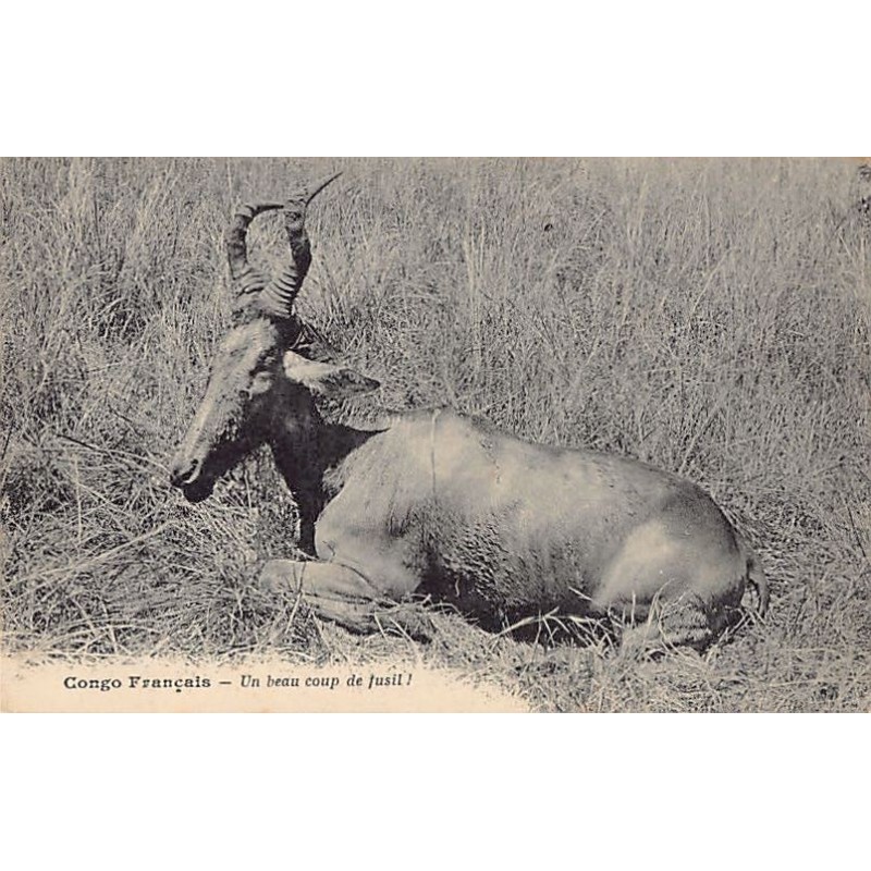 Rare collectable postcards of Congo - Brazzaville. Vintage Postcards of Congo - Brazzaville