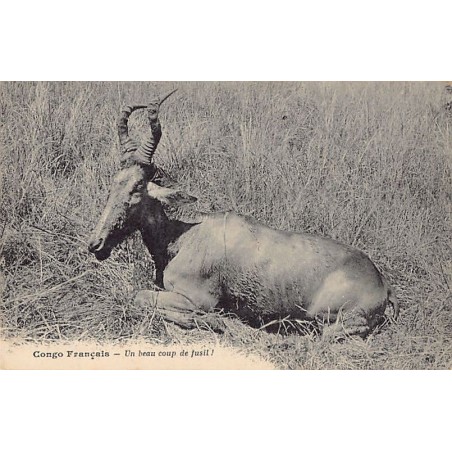 Rare collectable postcards of Congo - Brazzaville. Vintage Postcards of Congo - Brazzaville