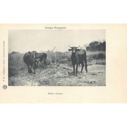 Rare collectable postcards of Congo - Brazzaville. Vintage Postcards of Congo - Brazzaville