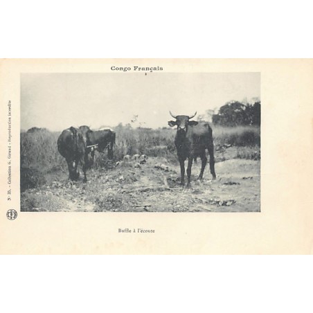 Rare collectable postcards of Congo - Brazzaville. Vintage Postcards of Congo - Brazzaville