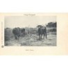 Rare collectable postcards of Congo - Brazzaville. Vintage Postcards of Congo - Brazzaville