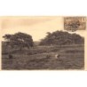 Rare collectable postcards of Congo - Brazzaville. Vintage Postcards of Congo - Brazzaville