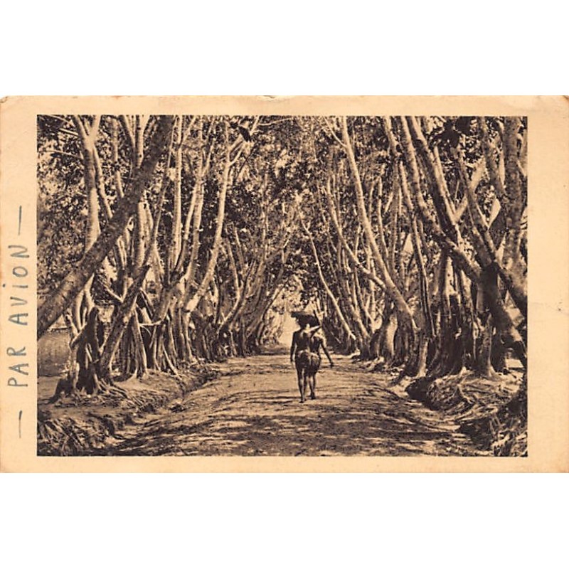 Rare collectable postcards of Congo - Brazzaville. Vintage Postcards of Congo - Brazzaville