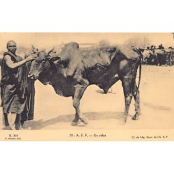 Rare collectable postcards of Congo - Brazzaville. Vintage Postcards of Congo - Brazzaville